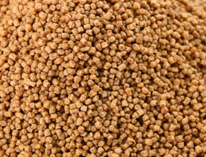 Close-up of Fish Feed